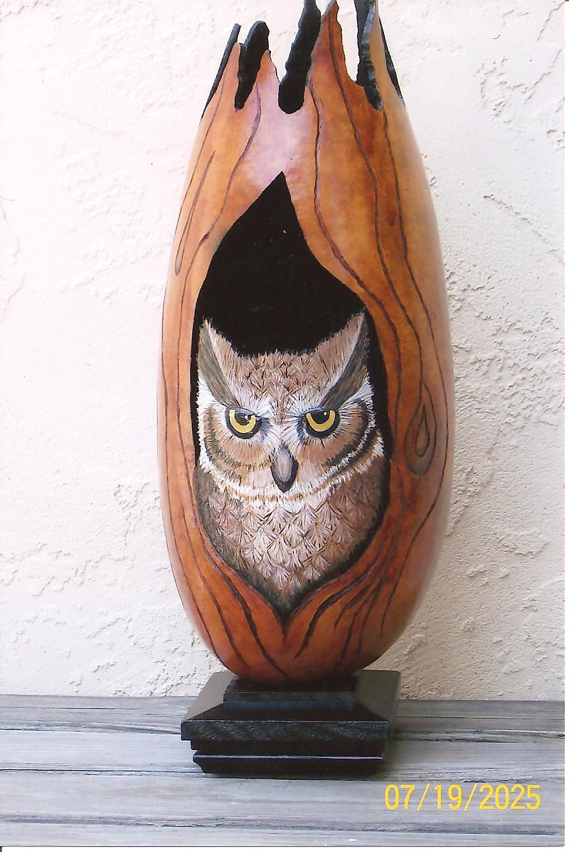 Owl